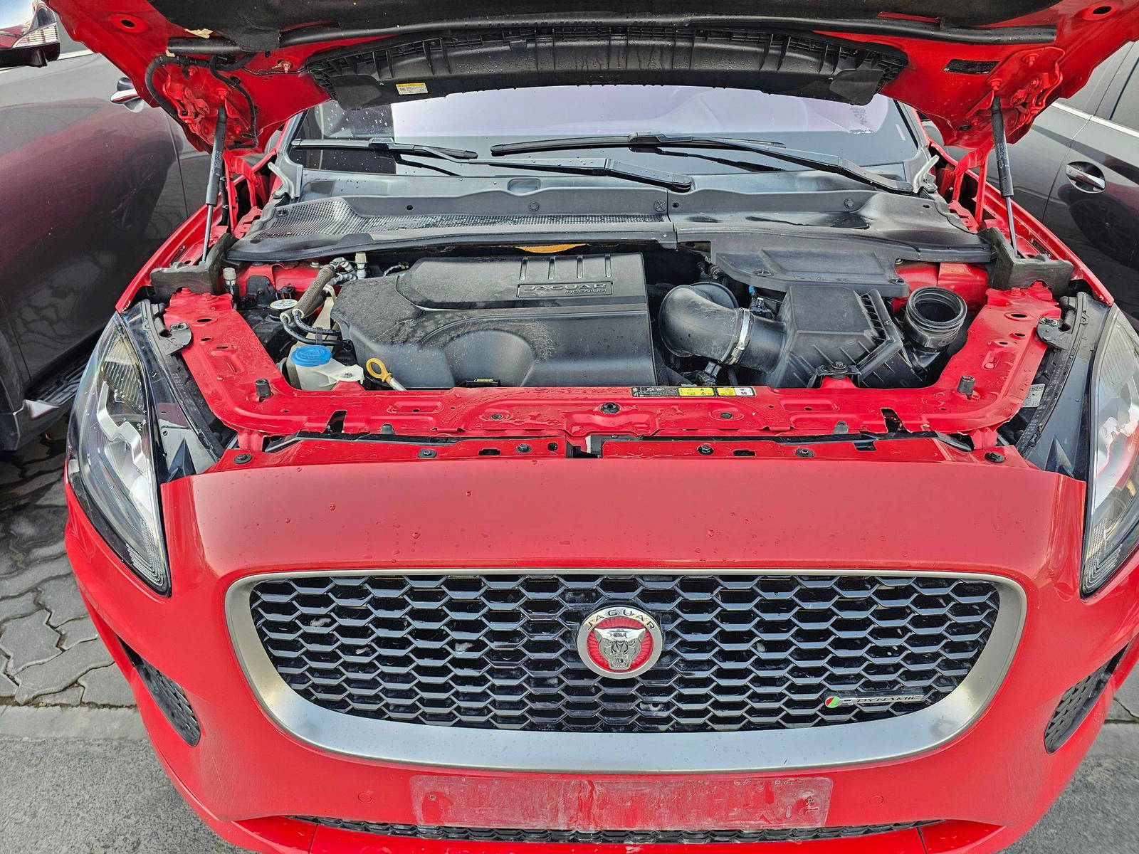 2019 JAGUAR F-PACE — 52264 KM — Lot 5K1Z45866 — Souq - Marhaba Auctions Used Cars - Image 12