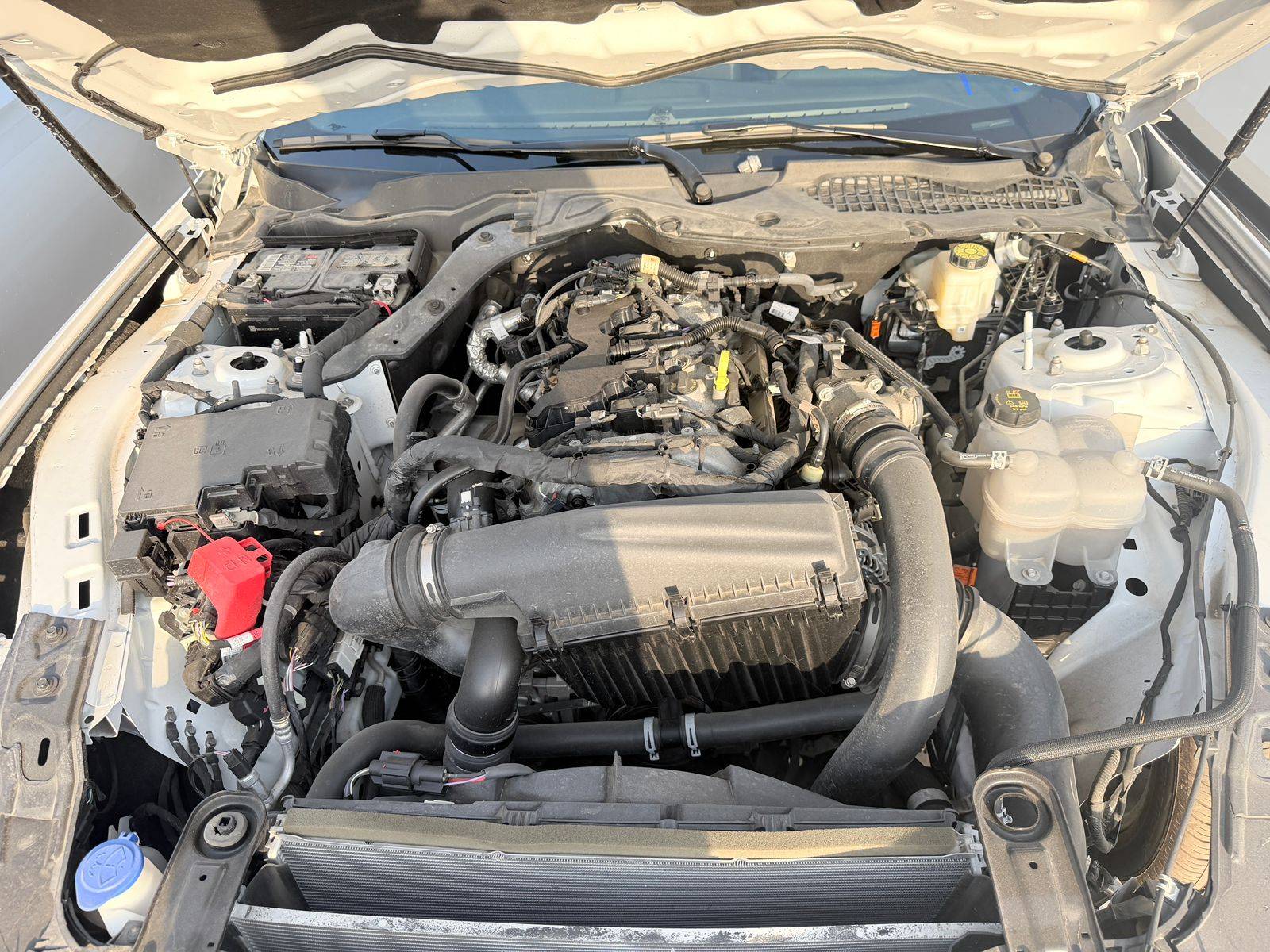 FORD MUSTANG 2024 - Marhaba Auction Used Cars - Image 6