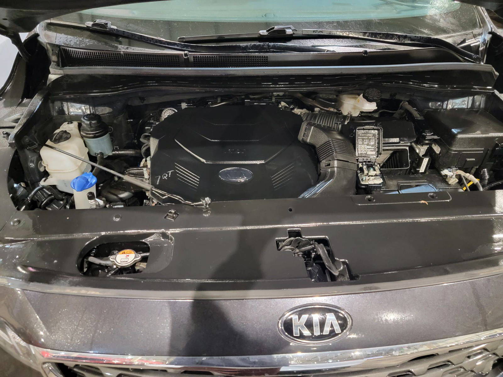 KIA SEDONA 2021 - Marhaba Auction Used Cars - Image 12