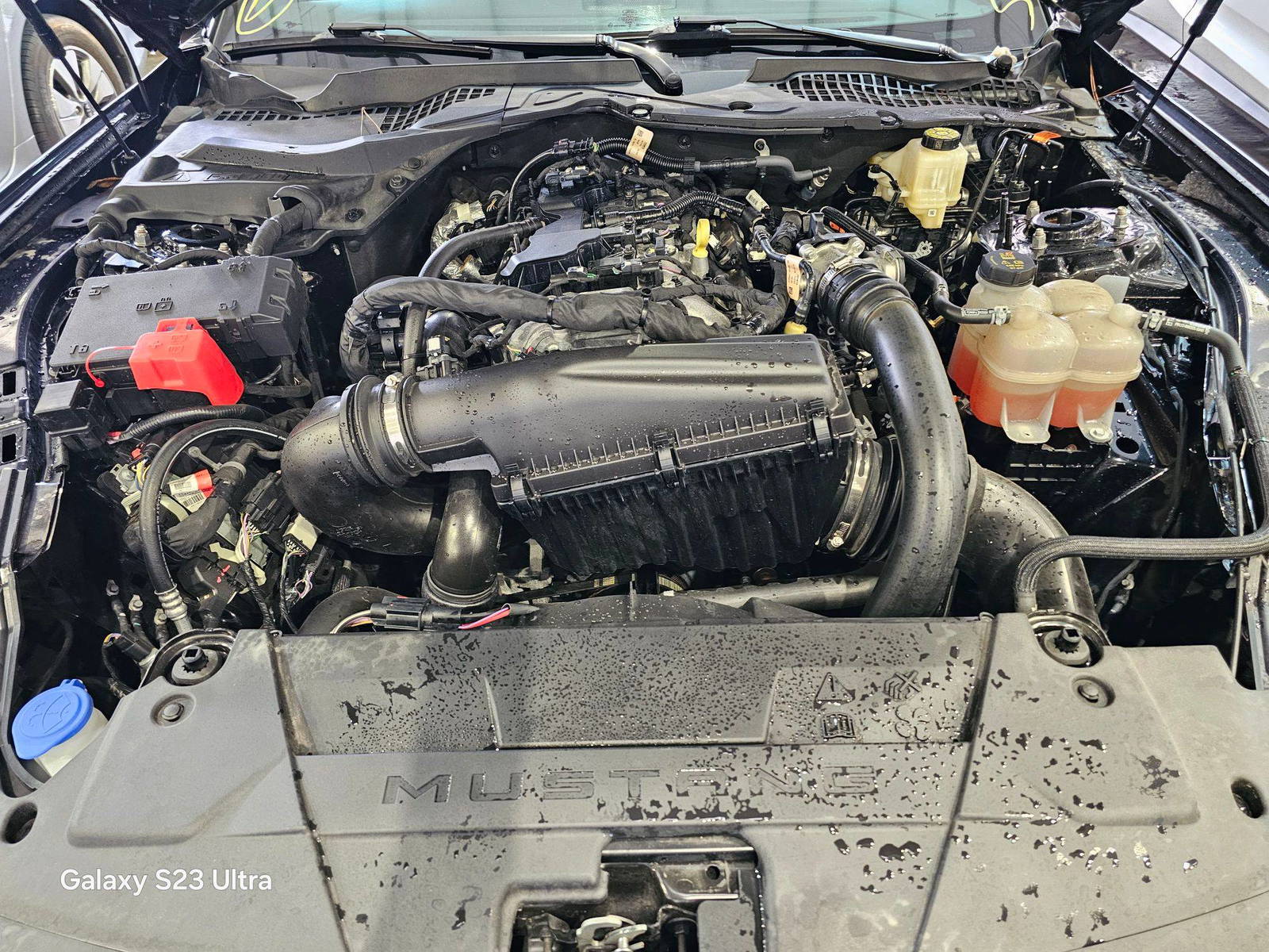 FORD MUSTANG 2024 - Marhaba Auction Used Cars - Image 8