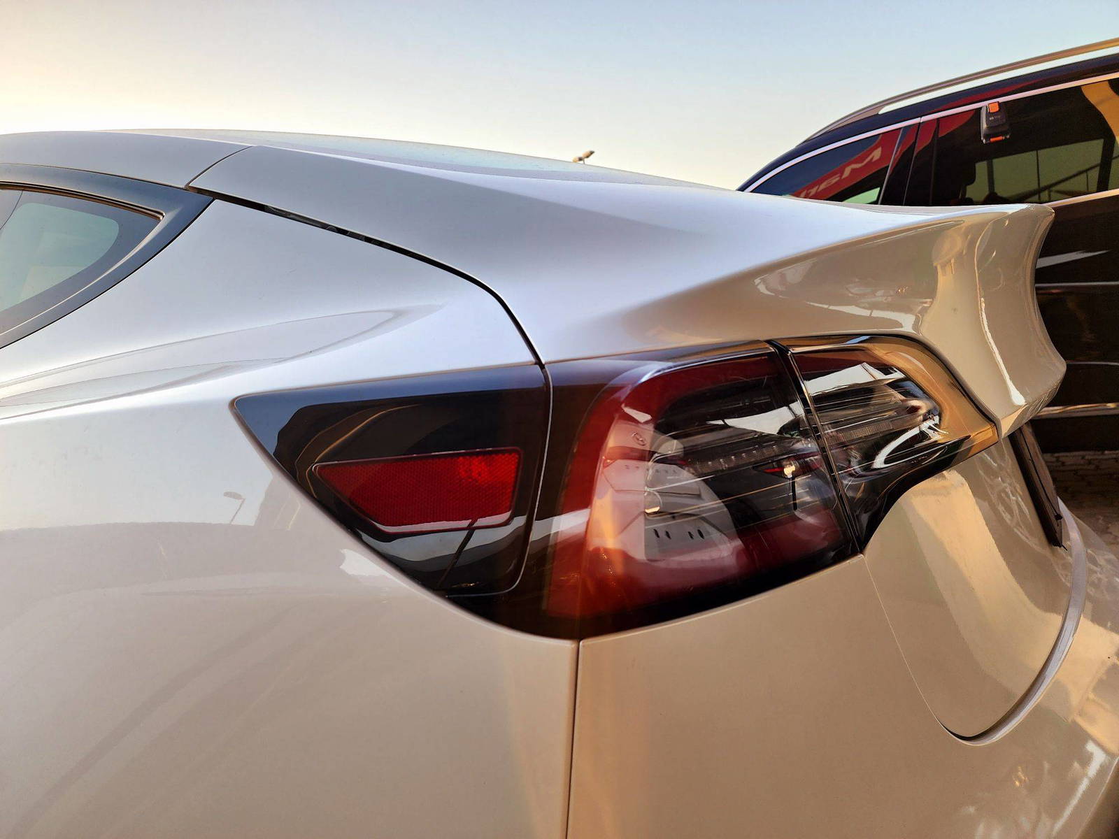 2023 TESLA MODEL 3 — 5421 Miles — Lot EA5PF562123 — Souq - Marhaba Auctions Used Cars - Image 12