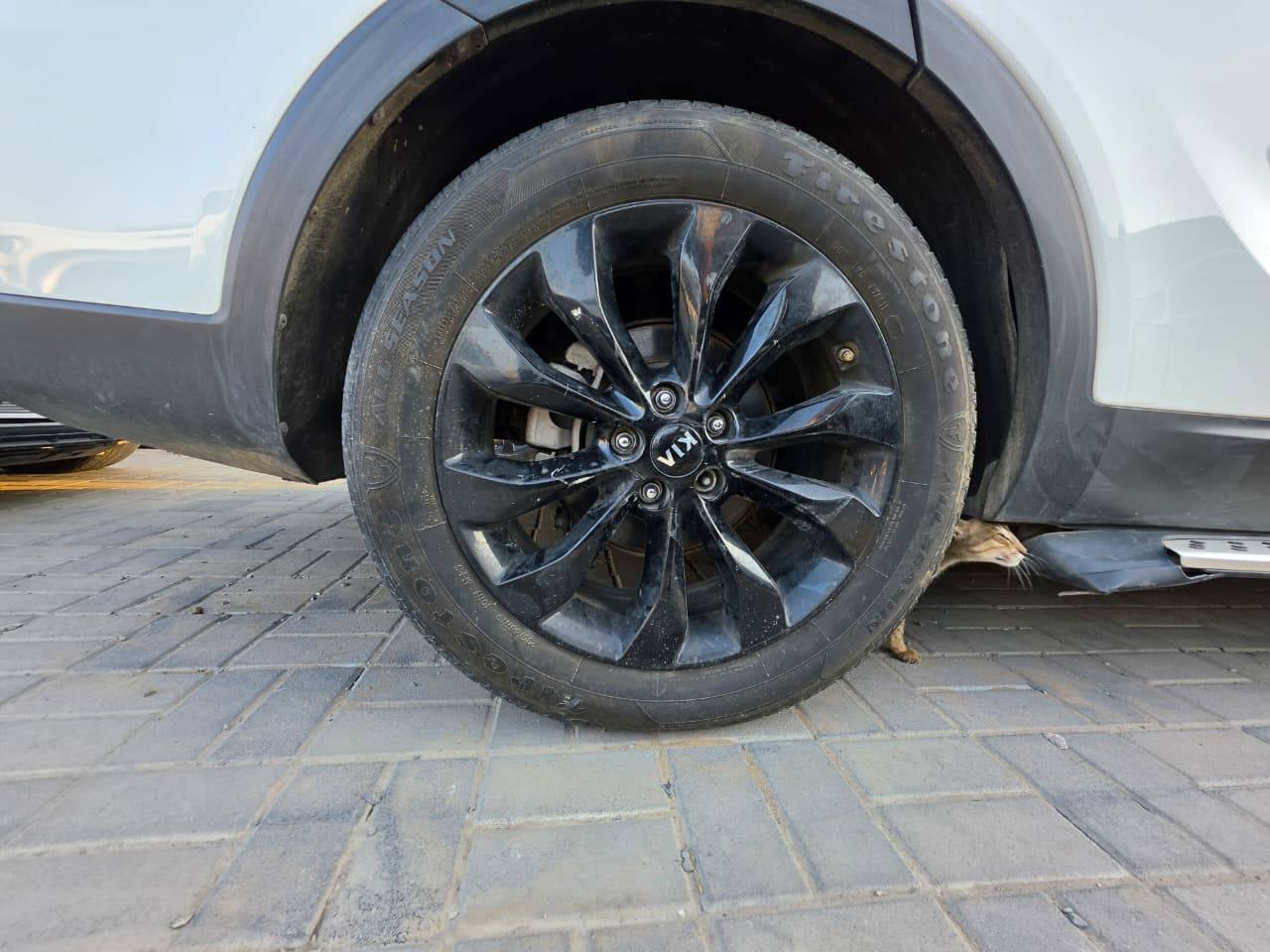 2020 KIA SORENTO — sold — 66159 Miles — Lot 43626841 - Marhaba Auctions Used Cars - Image 13