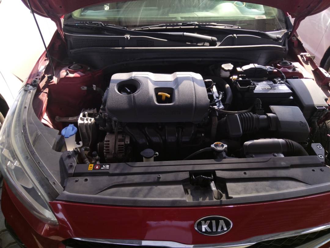 2019 KIA FORTE — 123521 Miles — Lot 36776872 - Marhaba Auctions Used Cars - Image 12