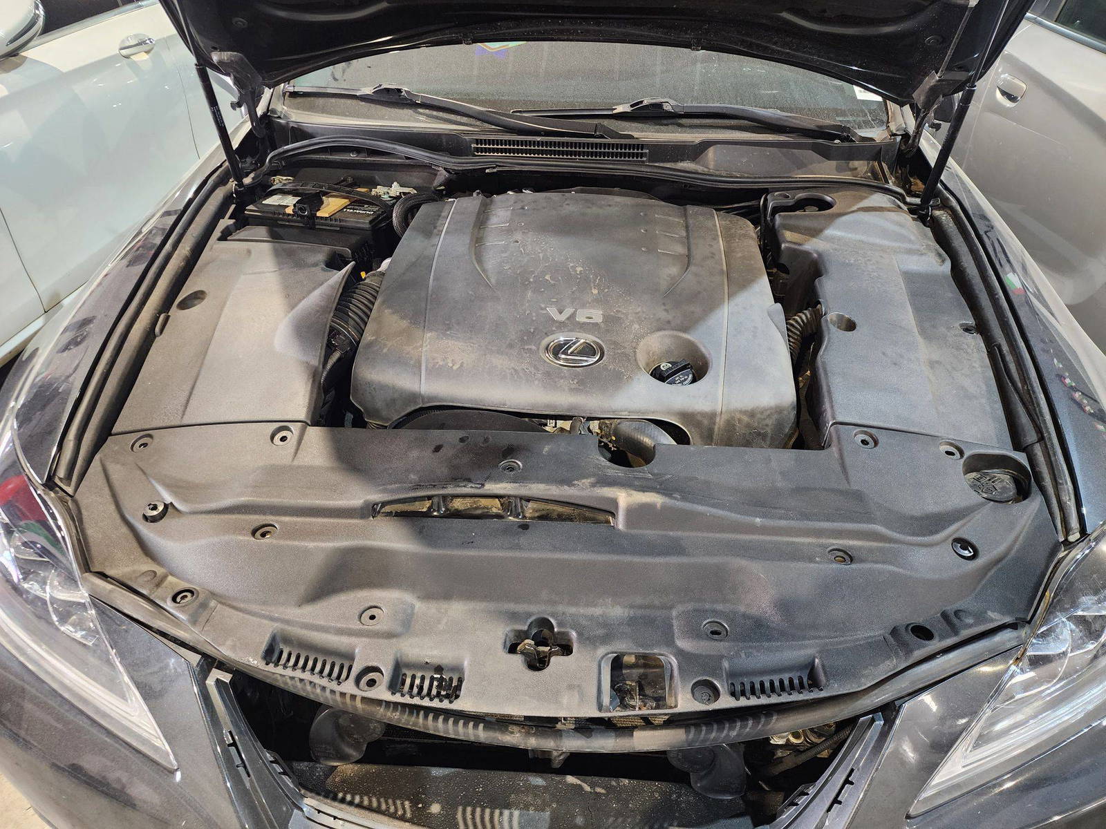 2008 LEXUS IS 250 — 162293 Miles — Lot 82725515 — Al Quoz - Marhaba Auctions Used Cars - Image 13