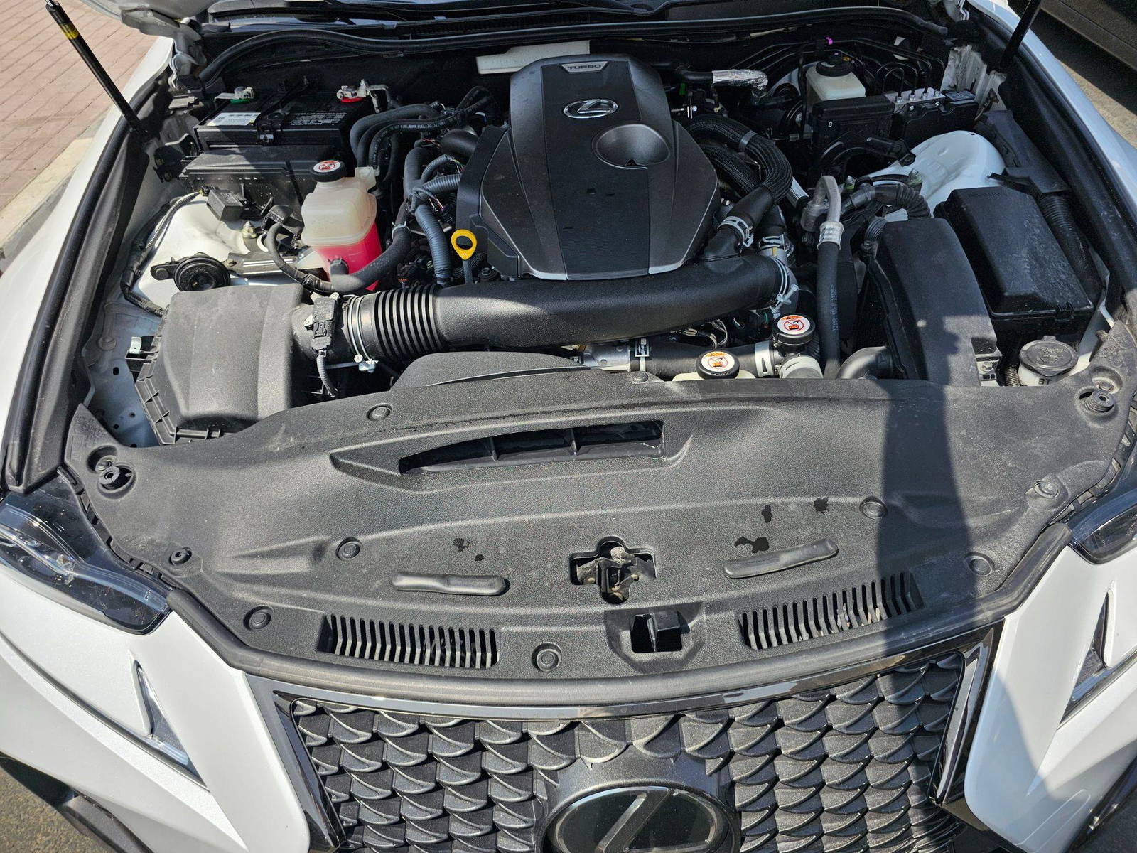 2019 LEXUS IS 300 — 39481 Miles — Lot 24K5092998 — Main - Marhaba Auctions Used Cars - Image 11