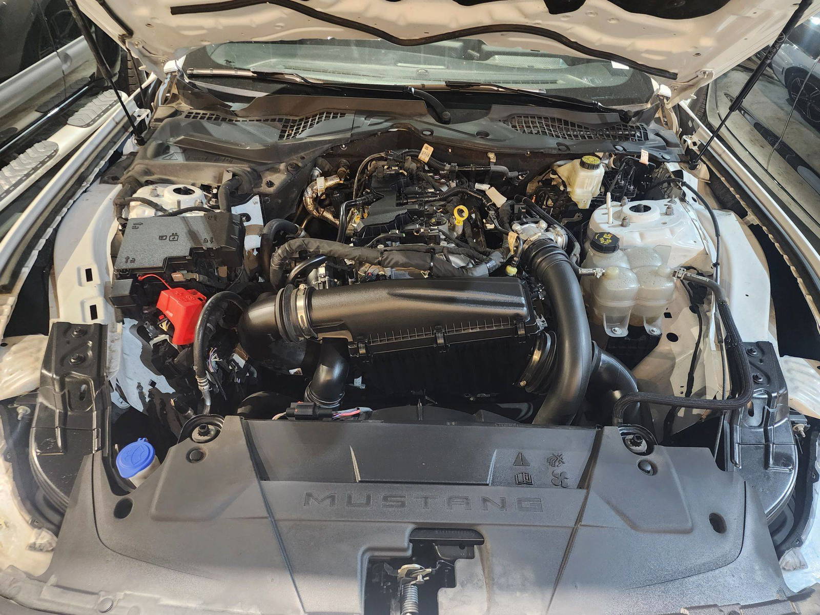 FORD MUSTANG 2024 - Marhaba Auction Used Cars - Image 7