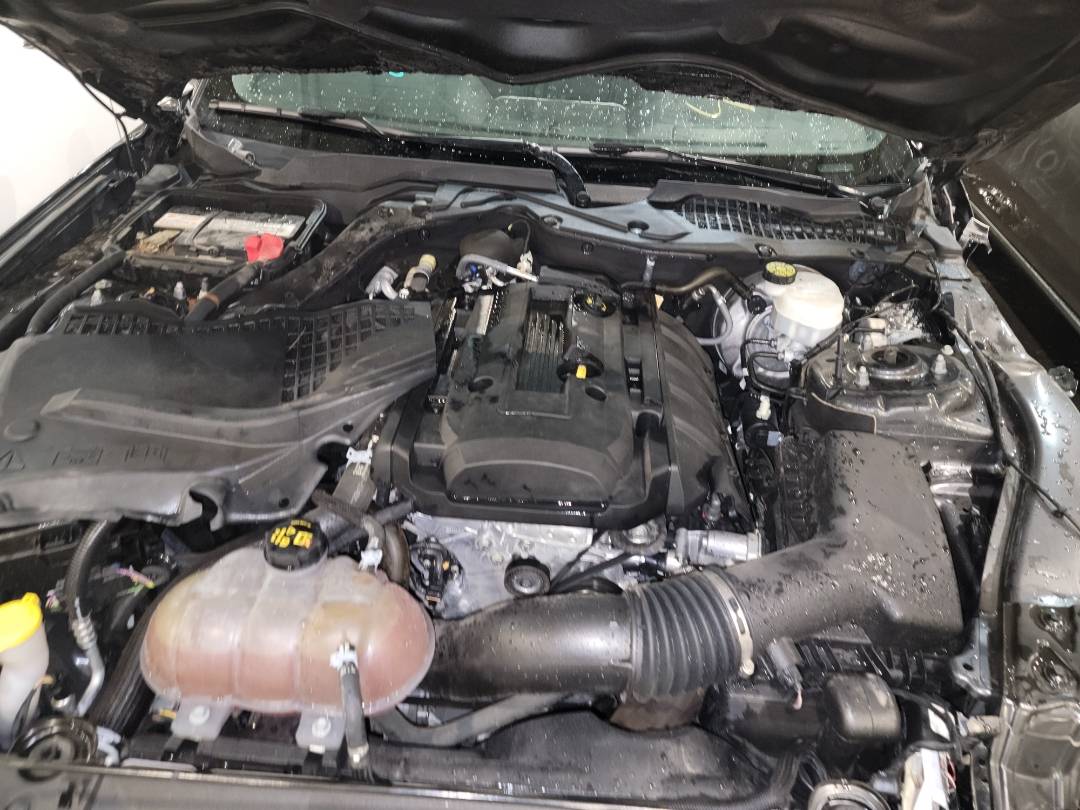 2019 FORD MUSTANG — 51647 Miles — Lot 0K5125792 - Marhaba Auctions Used Cars - Image 8