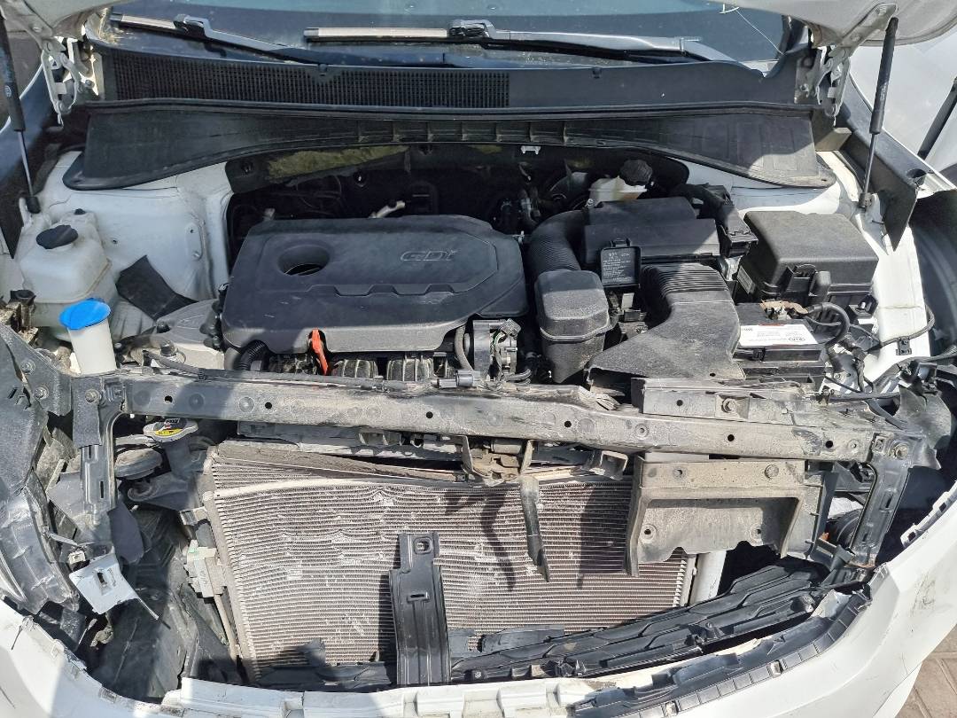 KIA SORENTO 2019 - Marhaba Auction Used Cars - Image 11