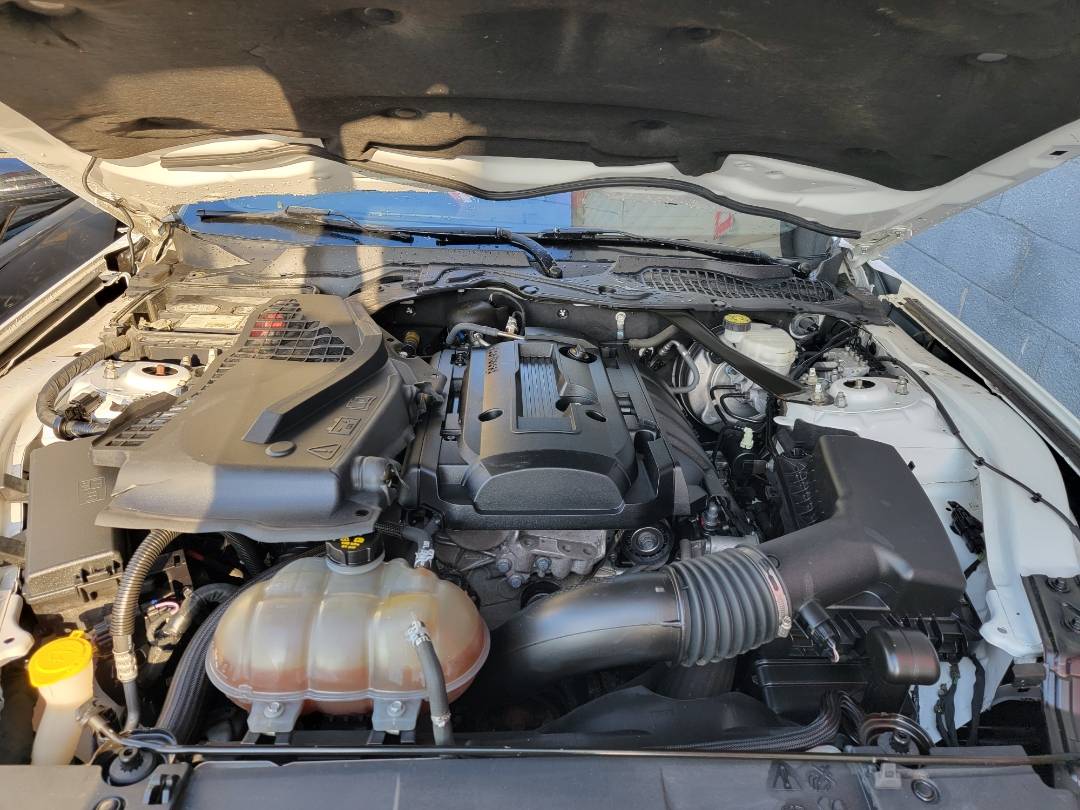2019 FORD MUSTANG — 75661 Miles — Lot 39417487 — Main - Marhaba Auctions Used Cars - Image 11