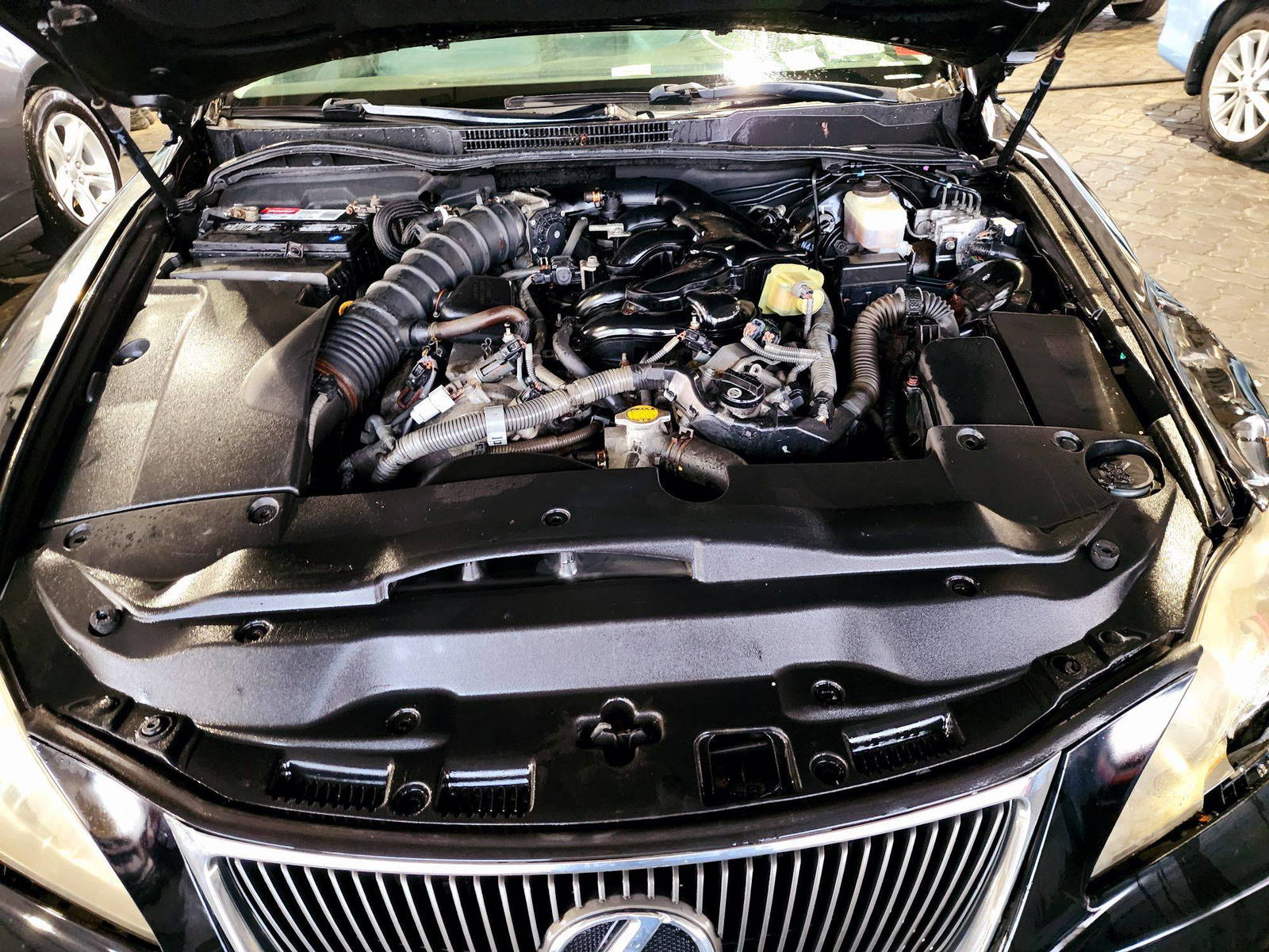 2008 LEXUS IS 250 — 178013 Miles — Lot X82022145 — Souq - Marhaba Auctions Used Cars - Image 12
