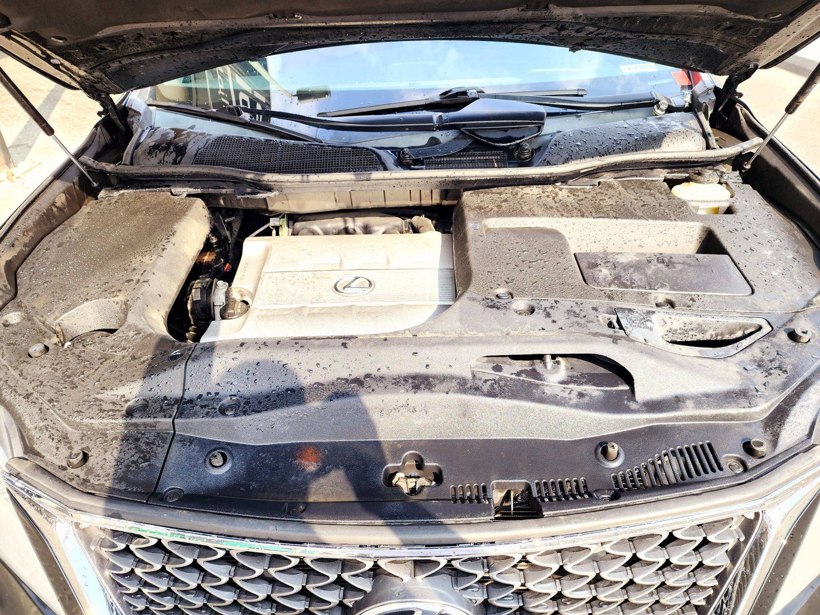 2015 LEXUS RX 350 — 120798 Miles — Lot 71060824 — Souq - Marhaba Auctions Used Cars - Image 12