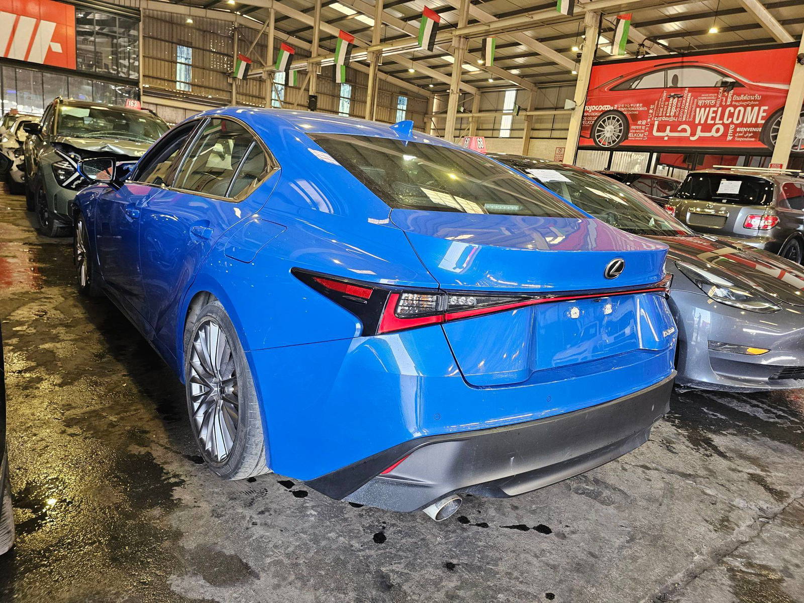 LEXUS IS 300 2023 - Marhaba Auction Used Cars - Image 5