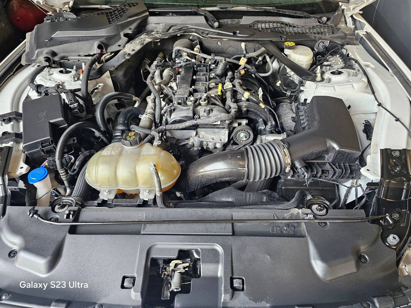 FORD MUSTANG 2022 - Marhaba Auction Used Cars - Image 10