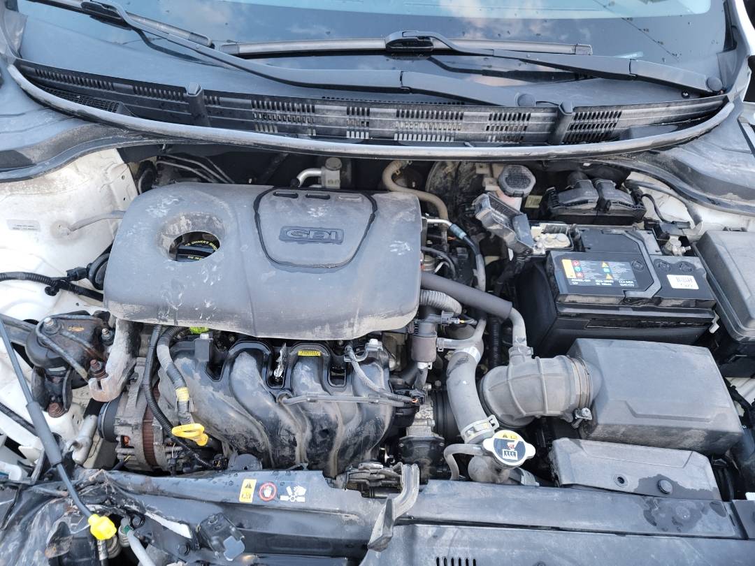2019 KIA RIO — 77363 KM — Lot E187399 - Marhaba Auctions Used Cars - Image 6