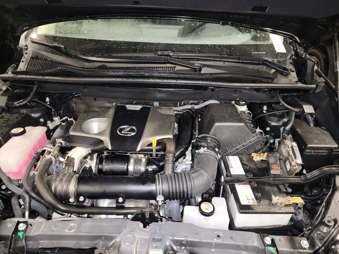 2021 LEXUS NX 300 — 14142 Miles — Lot 65846293 - Marhaba Auctions Used Cars - Image 8