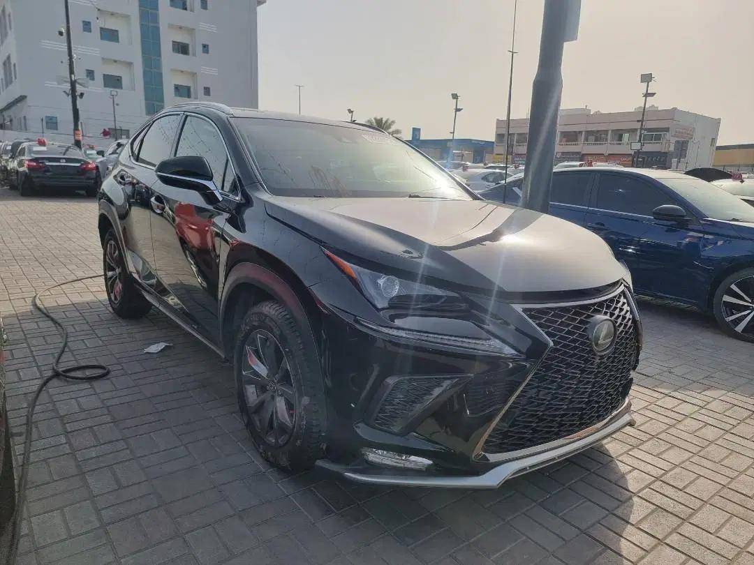 LEXUS NX 300