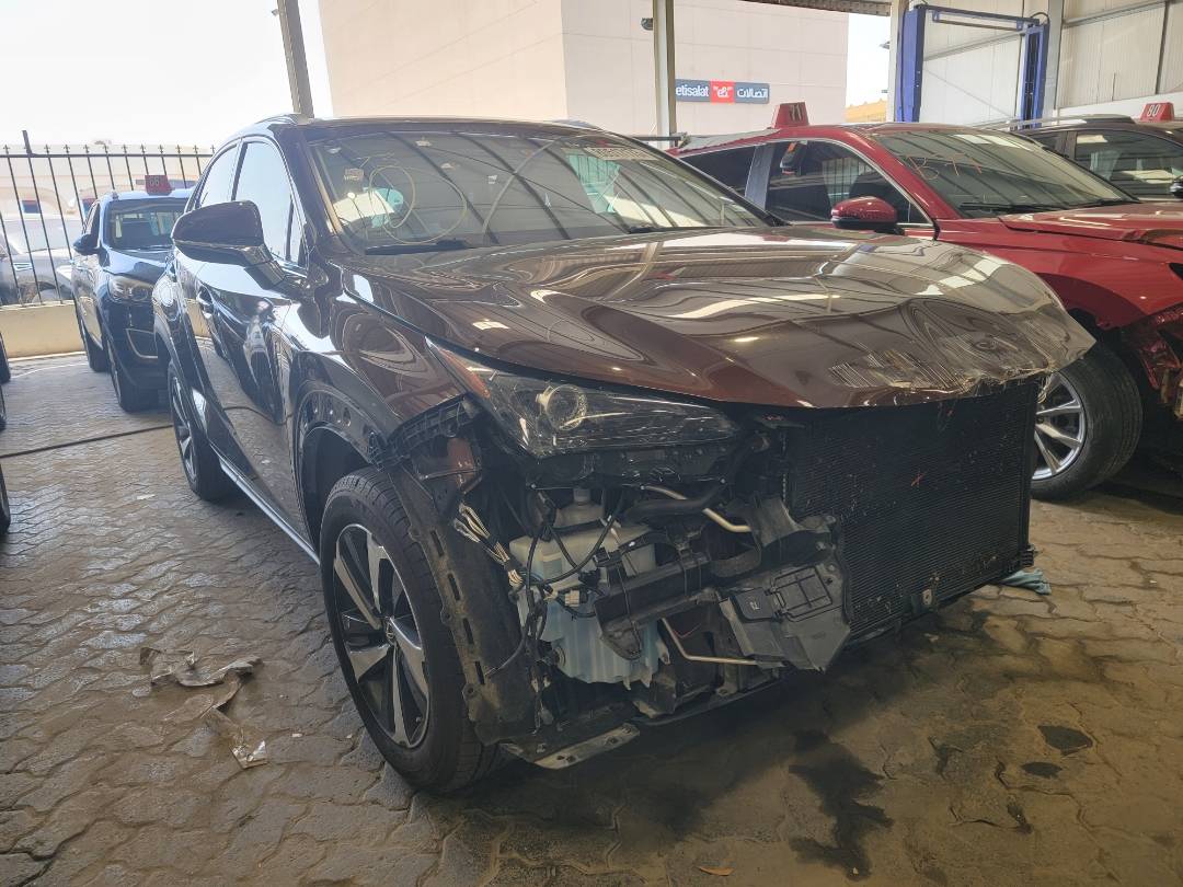 2019 LEXUS NX 300 — 67720 Miles — Lot 80517173 — Souq - Marhaba Auctions Used Cars - Image 10