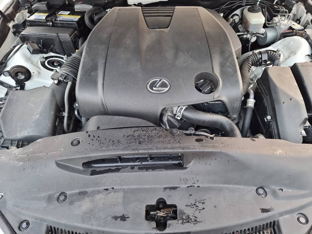 2015 LEXUS IS 250 — 264549 Miles — Lot 215478 — Ind. 12 - Marhaba Auctions Used Cars - Image 12