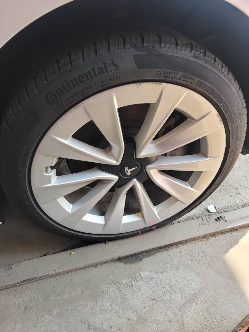 2023 TESLA MODEL 3 — 47424 Miles — Lot 47125315 — Souq - Marhaba Auctions Used Cars - Image 7