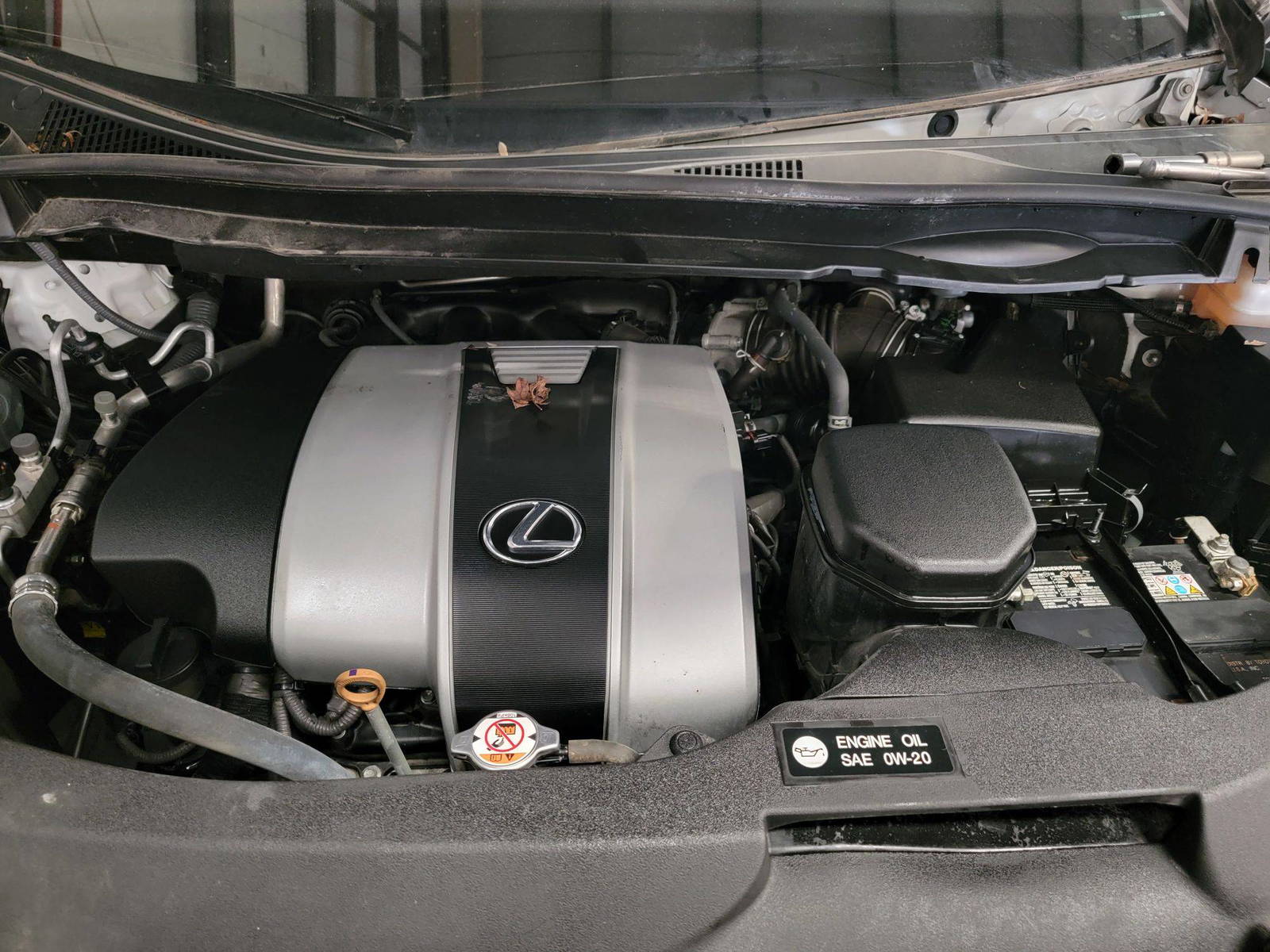 2019 LEXUS RX 350 — 51963 Miles — Lot 90411245 — Main - Marhaba Auctions Used Cars - Image 9