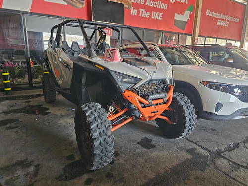 POLARIS RZR