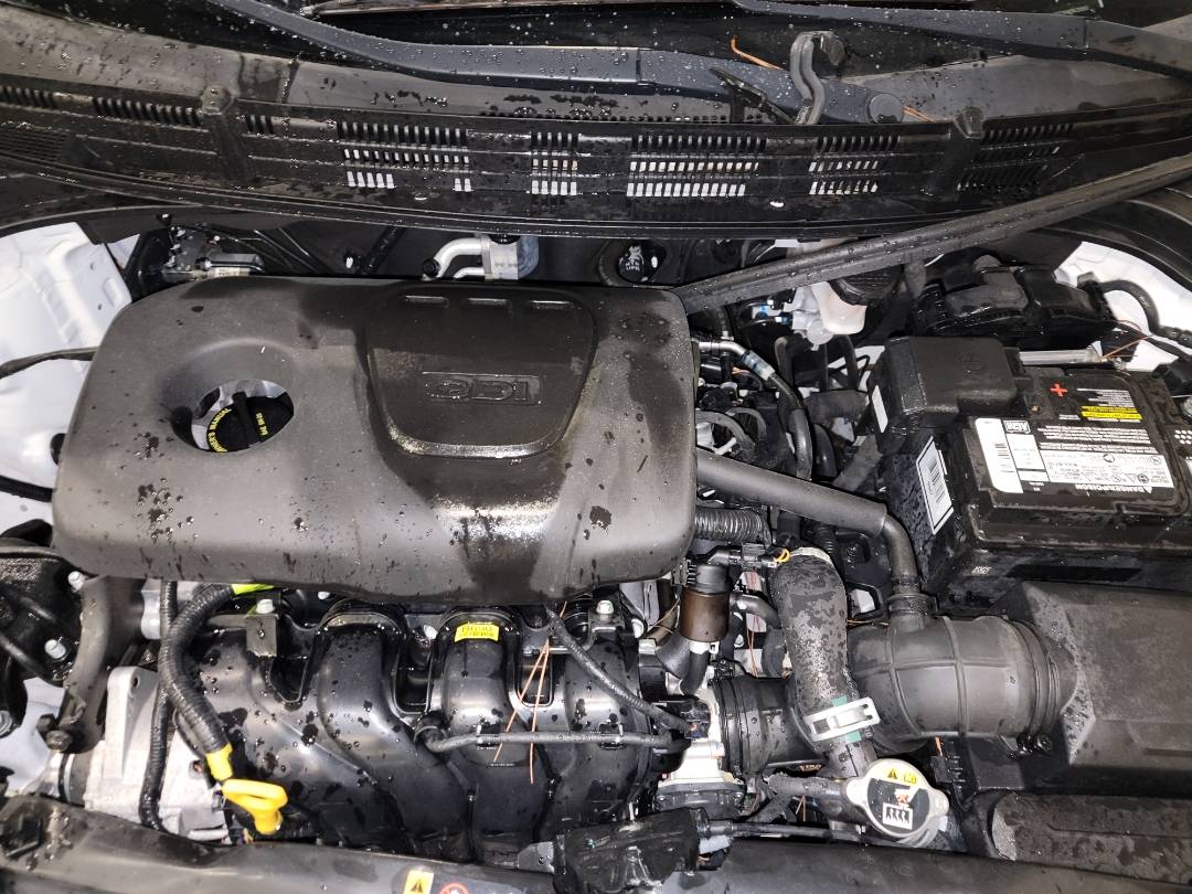 2019 KIA RIO — 18648 Miles — Lot 71478083 - Marhaba Auctions Used Cars - Image 8