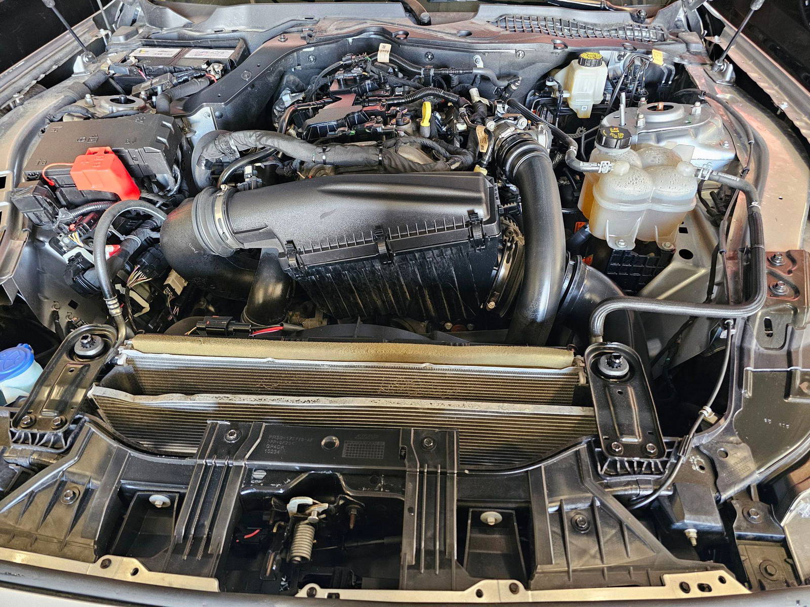 FORD MUSTANG 2024 - Marhaba Auction Used Cars - Image 11