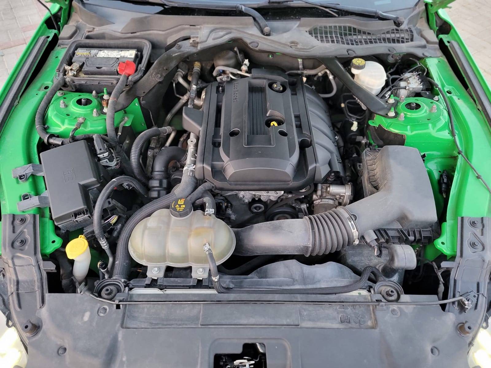 FORD MUSTANG 2019 - Marhaba Auction Used Cars - Image 10