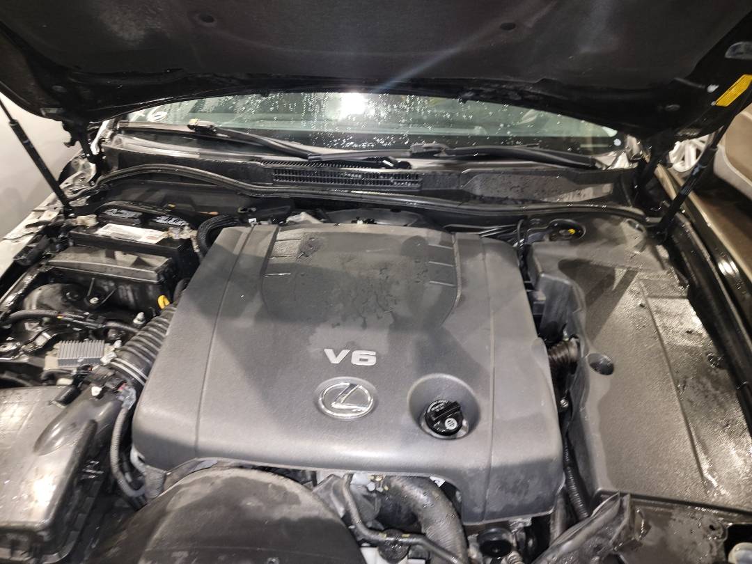 2008 LEXUS IS 250 — 230366 Miles — Lot 37501246 - Marhaba Auctions Used Cars - Image 10