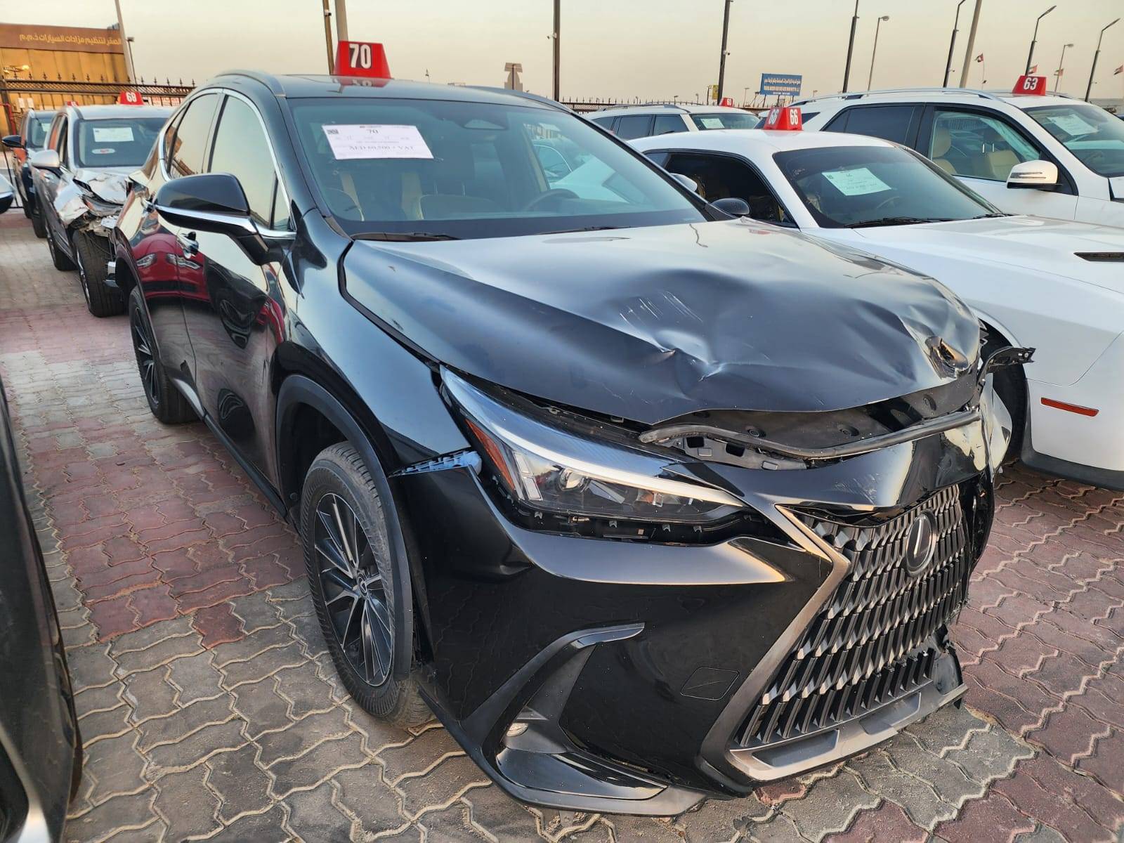 LEXUS NX 250 2024 - Marhaba Auction Used Cars - Image 4