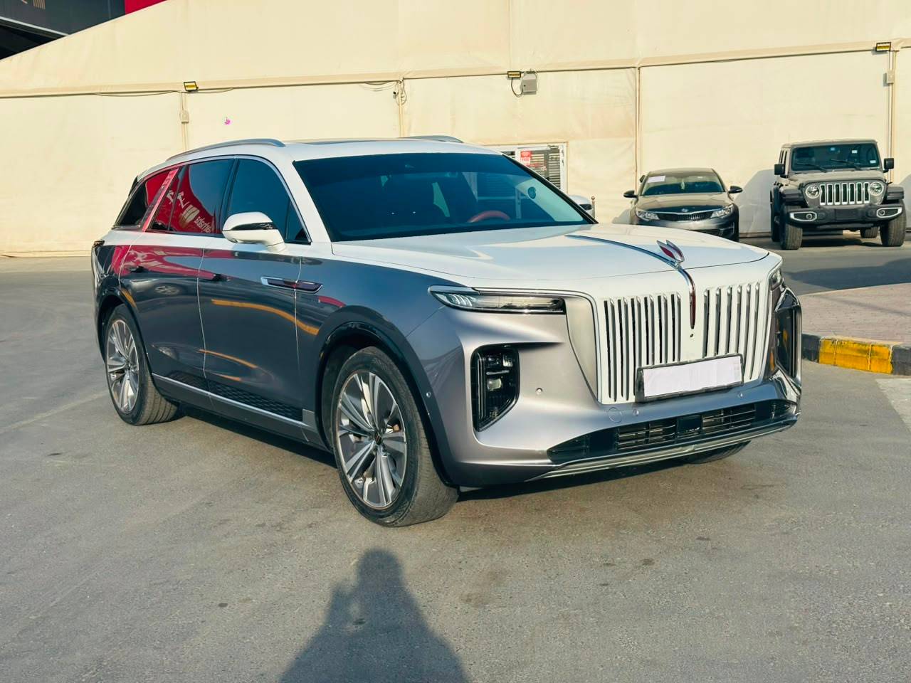 Hongqi EHS9 2023 - Marhaba Auction Used Cars - Image 5