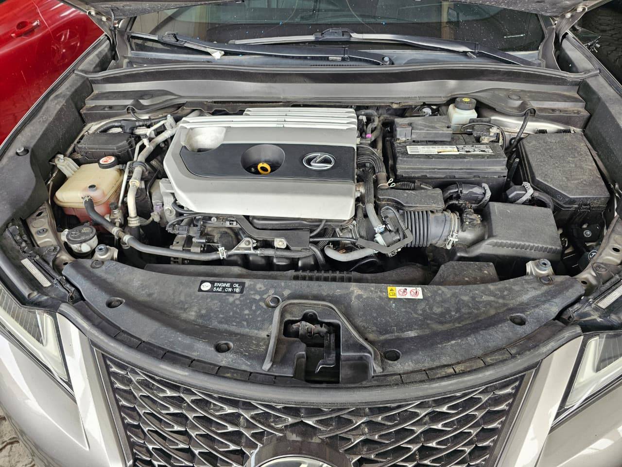 2019 LEXUS UX 200 — 73026 Miles — Lot 2000853 — Souq - Marhaba Auctions Used Cars - Image 13
