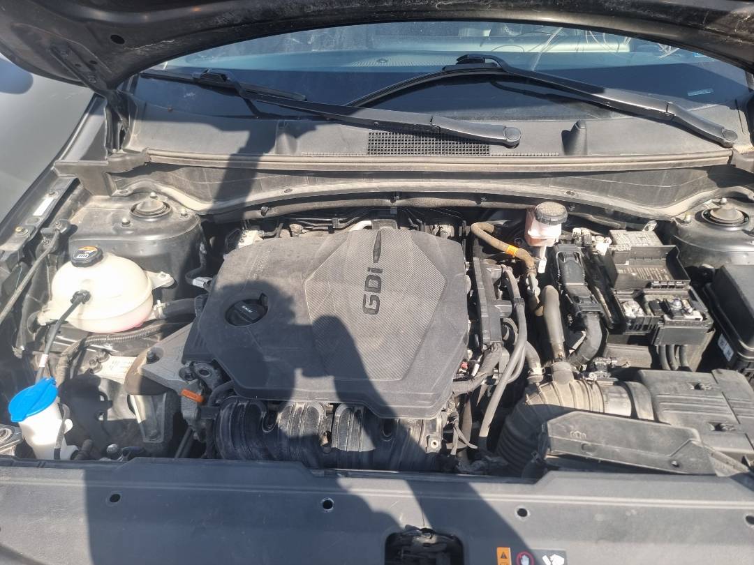 KIA SPORTAGE 2023 - Marhaba Auction Used Cars - Image 12