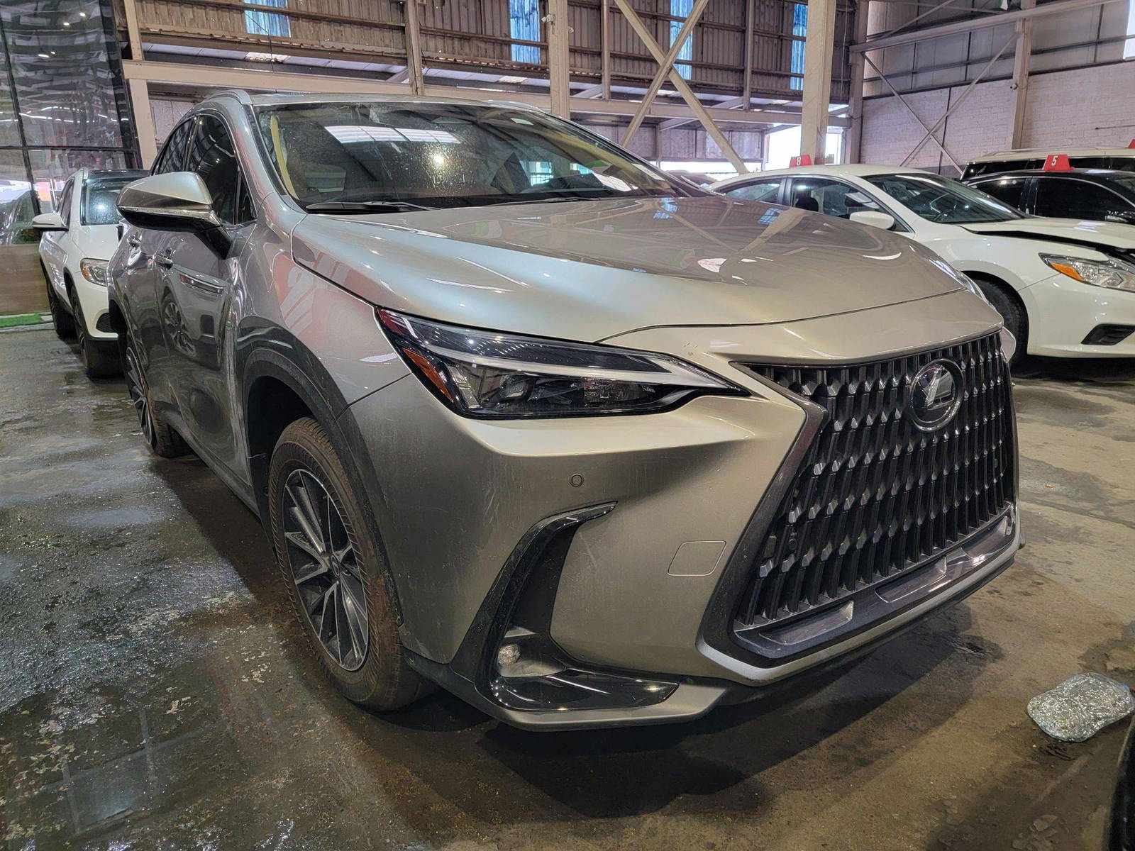 LEXUS NX 250 2025 - Marhaba Auction Used Cars - Image 4